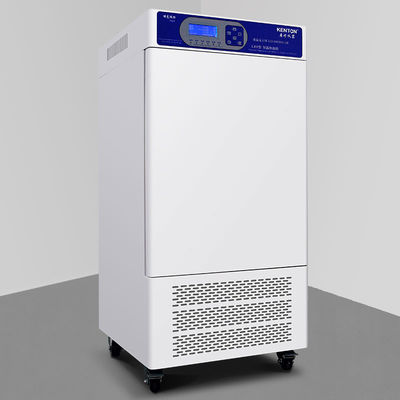 Chambre d'essai d'humidité de la température de la chambre 220V d'humidité de la température d'OEM