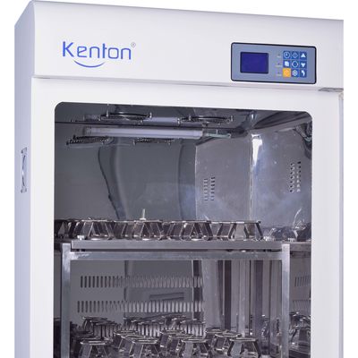 SUS304 Shaker Incubator Constant Temperature Incubator orbital pour le laboratoire
