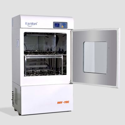 SUS304 Shaker Incubator Constant Temperature Incubator orbital pour le laboratoire