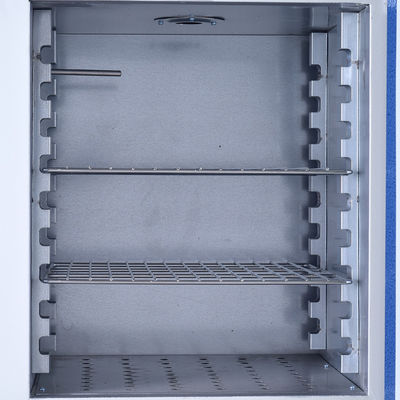 L'incubateur thermostatique de laboratoire électrothermique électrique a galvanisé le matériel de Sheel