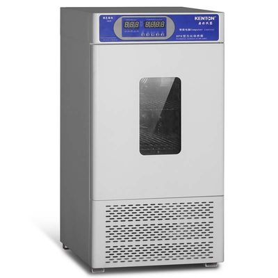 Laboratoire intérieur de refroidissement d'incubateur de micro-organisme d'acier inoxydable d'incubateur de culture de tissu