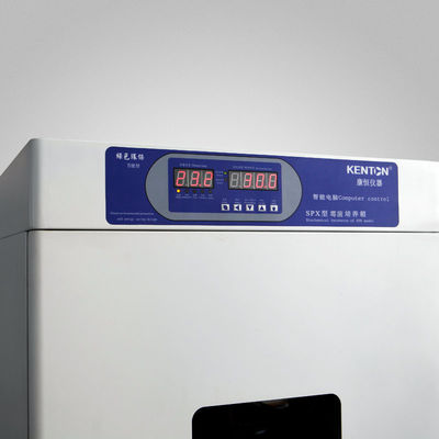 Incubateurs thermostatiques automatiques de Constant Temperature Biological d'incubateur de laboratoire