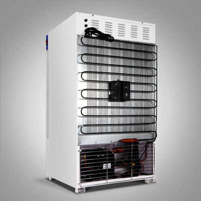 Chauffage biologique et incubateur de refroidissement de DBO de laboratoire de lampe de lumière UV d'incubateur