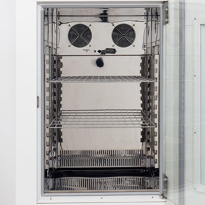 chambre climatique d'essai de stabilité de la chambre 0-65C de l'essai 110V ambiante