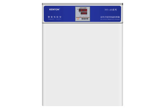 Incubateur thermostatique de culture de tissu de bactéries de l'incubateur 220V d'OEM