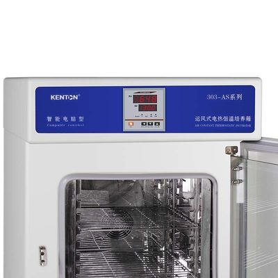 Incubateur thermostatique de culture de tissu de bactéries de l'incubateur 220V d'OEM